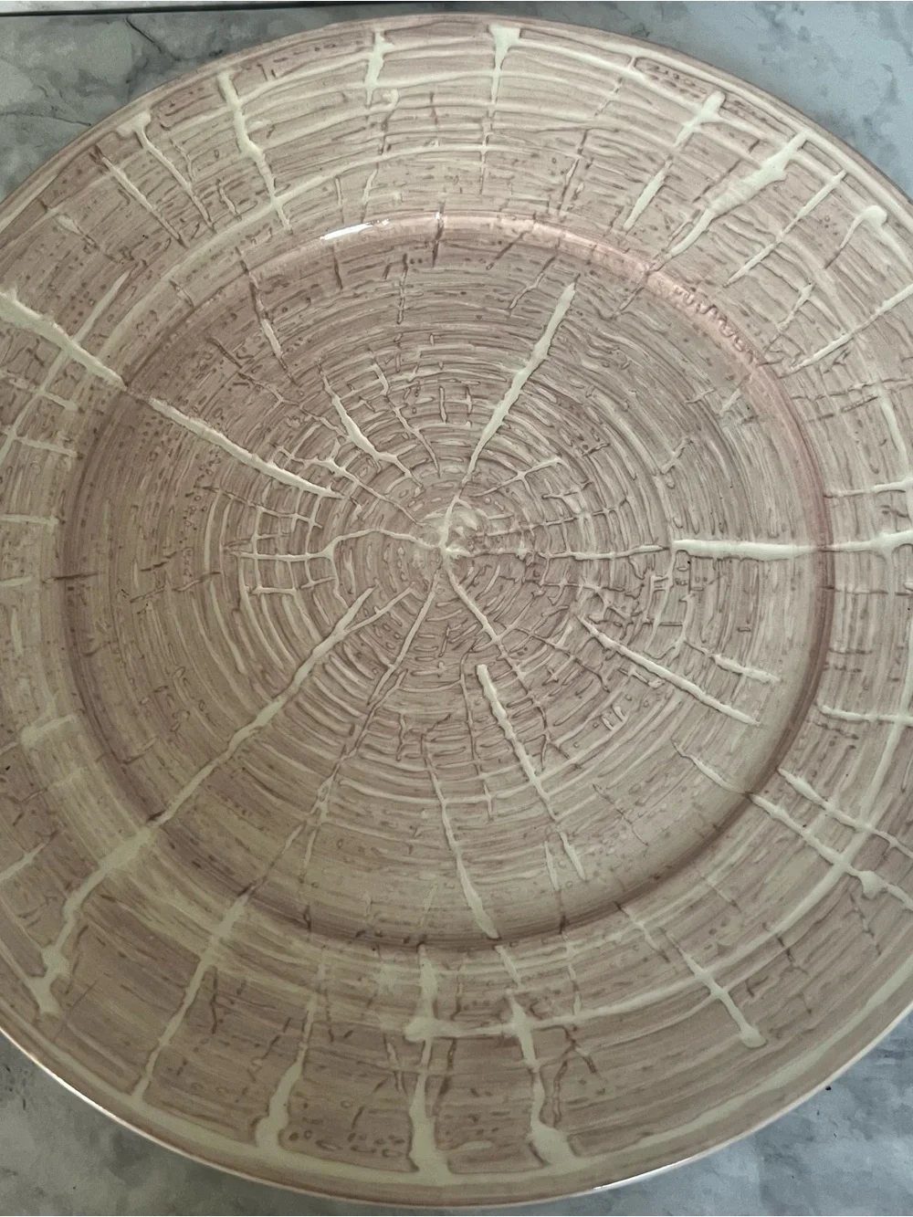Anthropologie Tree Ring Dinner Plate | Woodgrain Faux Bois Ceramic